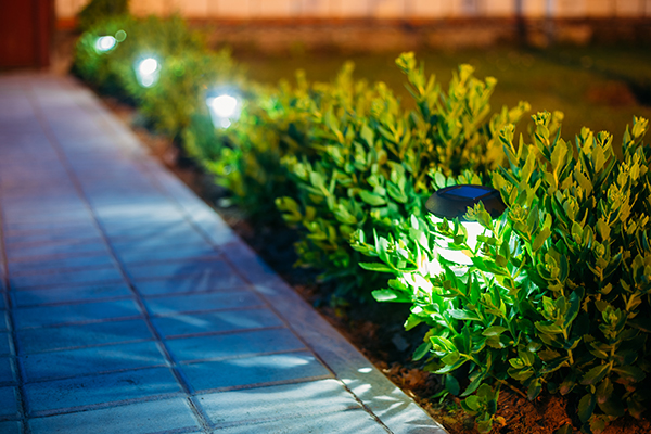 Small Solar Garden Light, Lanterns In Flower Bed. Garden Design. Solar Powered Lamp