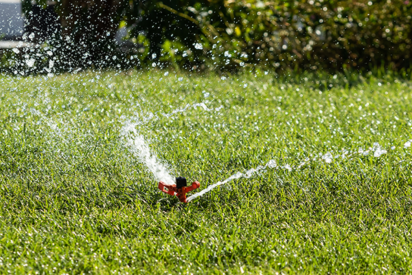 Irrigation System Watering the green grass, blurred background