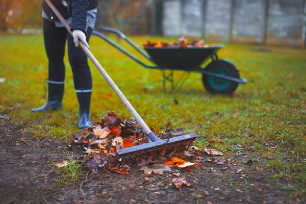 Person raking leaves in the yard.