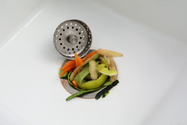 Food in Sink